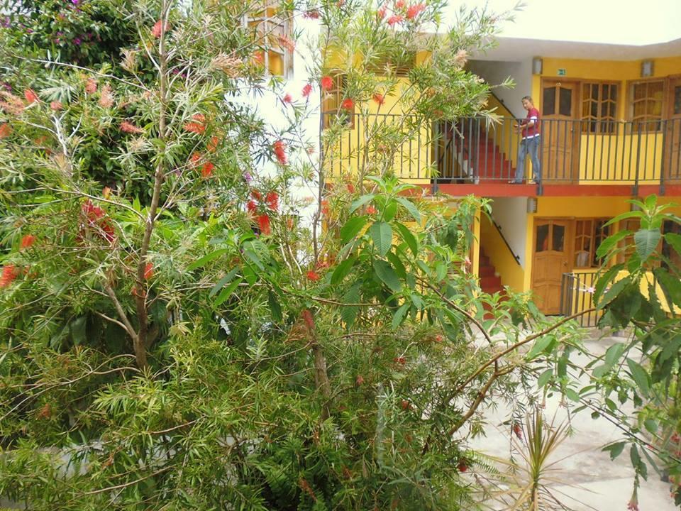 באניוס Hostal Timara מראה חיצוני תמונה