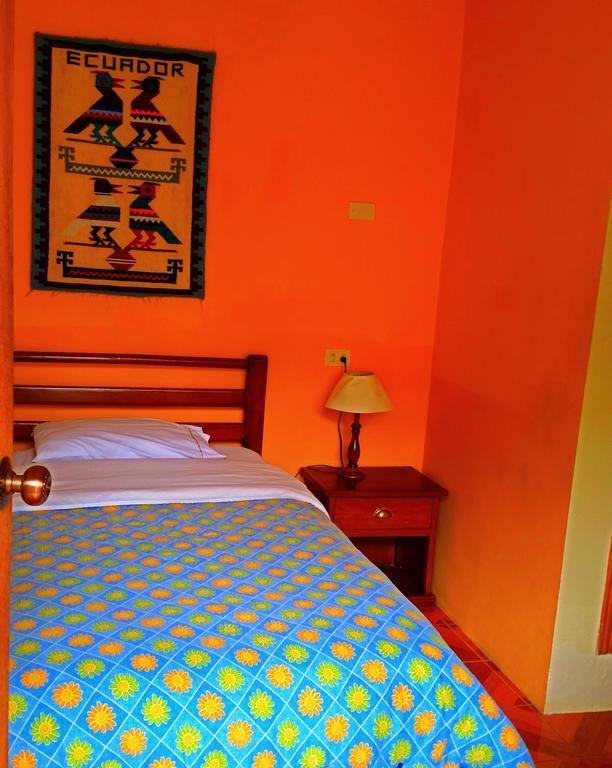 באניוס Hostal Timara מראה חיצוני תמונה